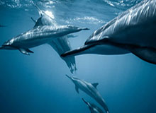 巩晓彬：再来一次无法复制自己成长速度